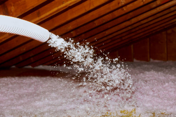 Best Insulation Installation Services in Rosemont, IL