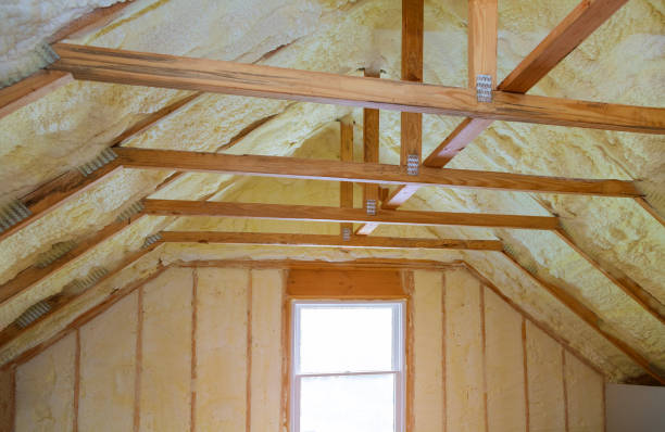 Best Insulation Maintenance and Repair in Rosemont, IL
