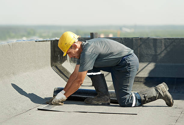 Best Insulation Maintenance and Repair in Rosemont, IL